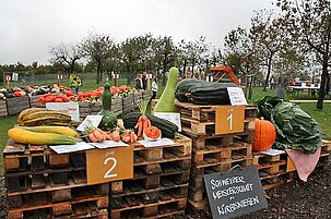 36684_8.jpg