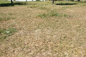 74480_8.jpg