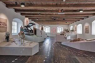 81093_8.jpg
