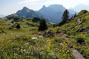 92718_8-1.jpg