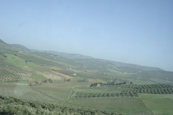 f42ea227-fa6f-fea8-a30d-63ab73e15035-88043.jpeg