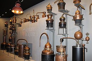 78208_8.jpg