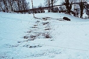 80984_8.jpg