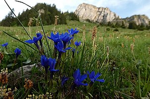 82509_8.jpg