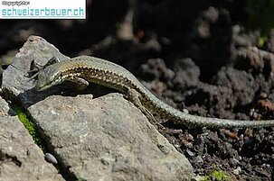 13716_8.jpg