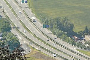 39196_8.jpg