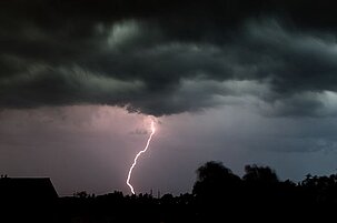 74978_8.jpg
