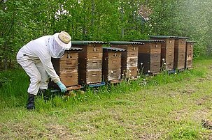 89715_8-1.jpg