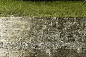 47b18a2a-eff7-f851-39d0-1239ab5b18df-43507.jpeg