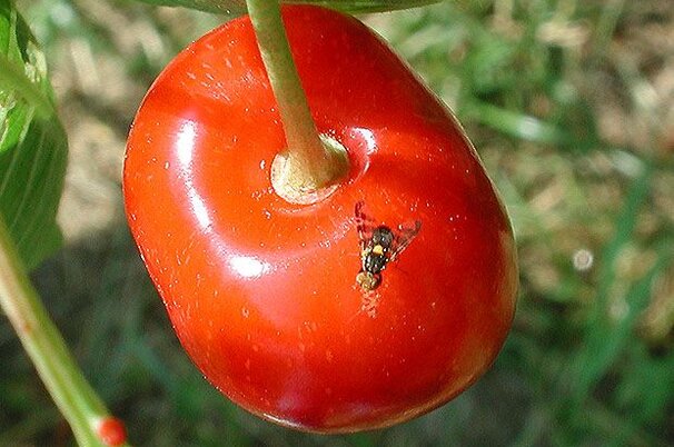 40191_8.jpg