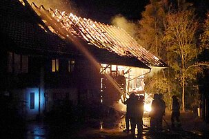 76418_8.jpg
