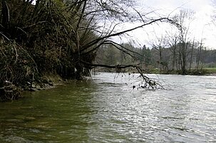 2782cc98-7637-ddd4-1a52-c7ca8ba5a95f-38206.jpeg