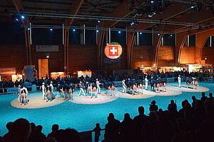 54441_8.jpg