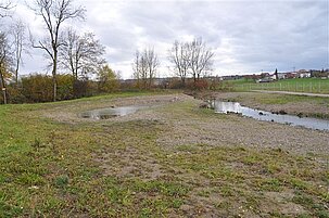 75725_8.jpg