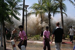 88147_8.jpg