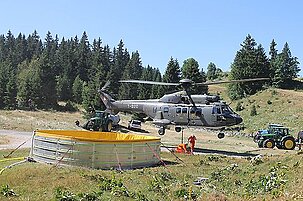 49723_8.jpg