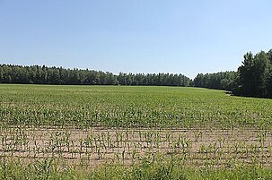 56808_8.jpg