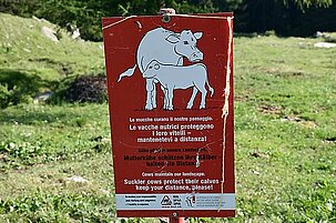 82925_8.jpg