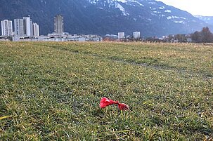 61786_8.jpg