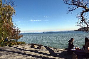 63818_8.jpg