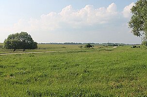 56388_8.jpg
