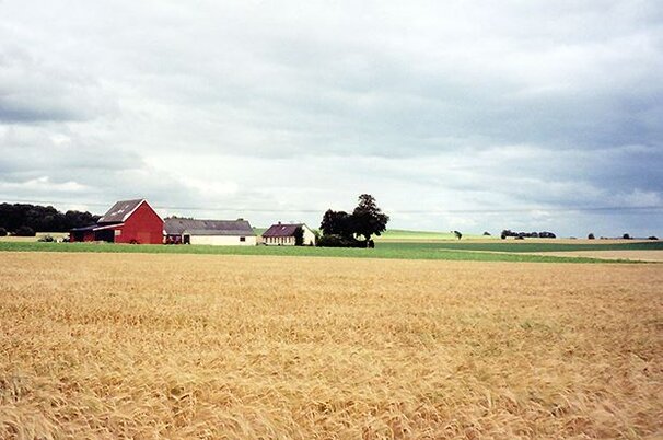 67018_8.jpg