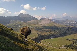 74569_8.jpg