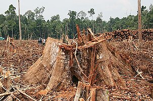 83647_8.jpg