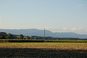 65793_8.jpg
