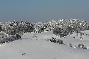 70519_8.jpg
