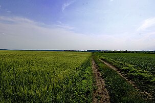 893a79bd-9cb6-e475-8ebb-74f6336679e6-84275.jpeg