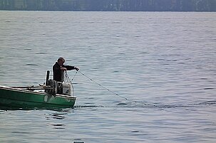 49606_8.jpg