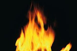 61302_8.jpg