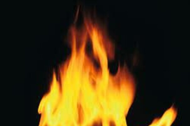 61302_8.jpg