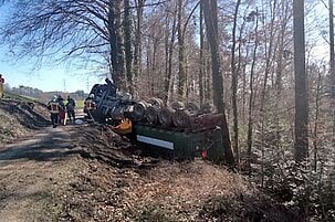 80597_8.jpg