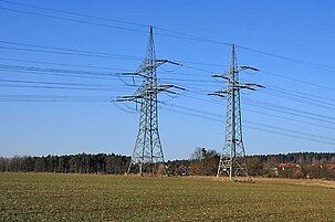 12431_8.jpg
