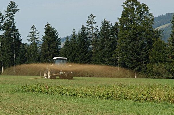 30258_8.jpg