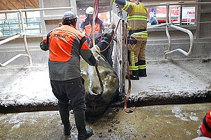 81743_8.jpg