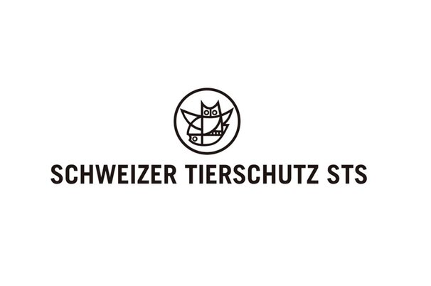 051a0282-5e20-f563-df2b-8d5d63e75975-70672.jpeg