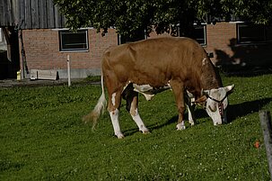 1b538e0f-19f4-0971-4c80-a474cdfb682a-61902-scaled.jpeg