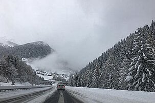 86045_8.jpg