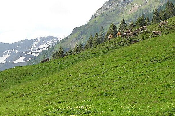 47429_8.jpg