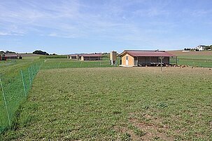 50628_8.jpg