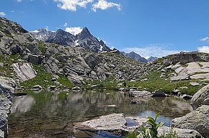 67542_8.jpg