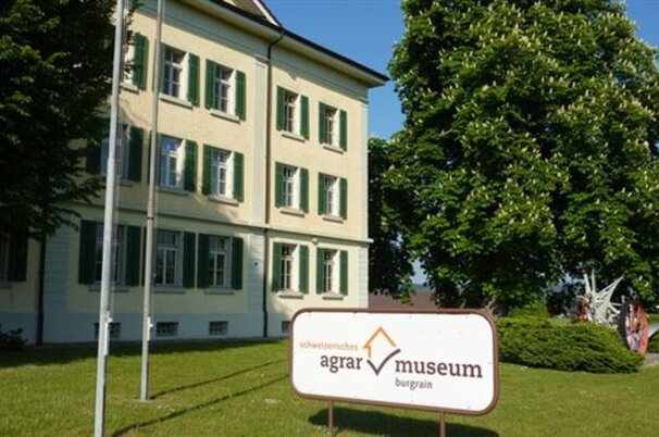 69020_8.jpg