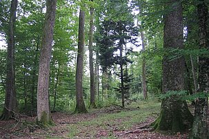 71241_8.jpg