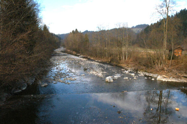 8771_8.jpg