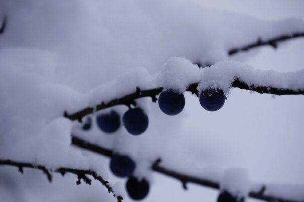 d771bbfb-9449-e234-858b-0dedb098835b-73939.jpeg