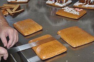 44521_8.jpg