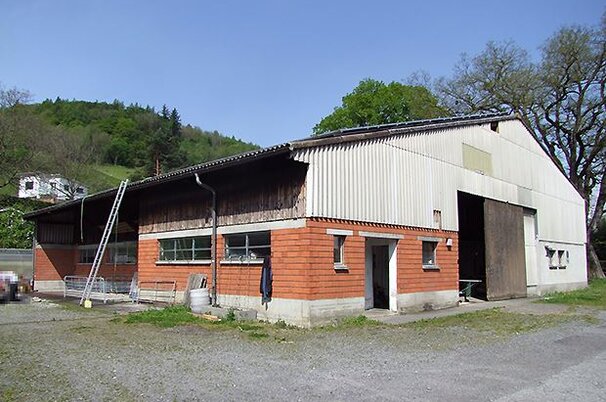 54992_8.jpg